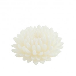 Bougie Fleur Dahlia Ecru 12,5cm Decoragloba Jardinchic