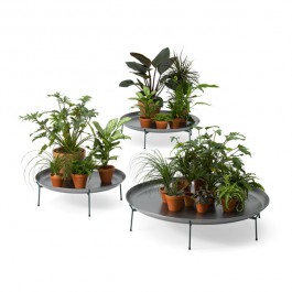 Green Trays Offecct Jardinchic