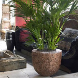 Jardinière d'intérieur Natural Trendy Seed Copper