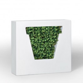 Pot Non Vaso MyYour JardinChic