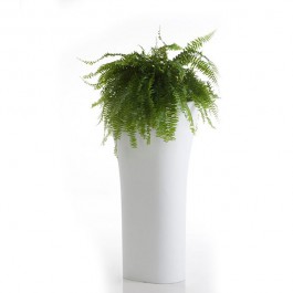 pot-100-bones-vondom-jardinchic