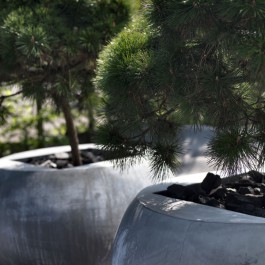 Pot Gruyère Ambiance Domani JardinChic