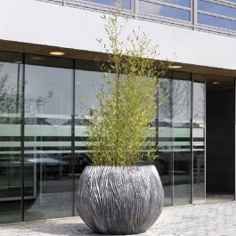 Jardinière River  H35cm Plants First Choice JardinChic