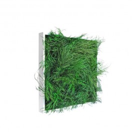 Tableau Végétal VanGreen 40 MeaMea JardinChic