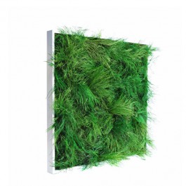 Tableau Végétal VanGreen 60 MeaMea JardinChic