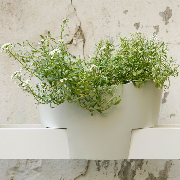 Sets de Vases pour Bibliothèque Yuu