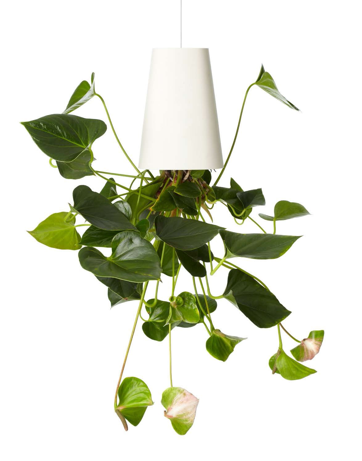 Jardinière Sky Planter Recycled Boskke JardinChic