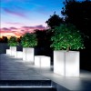 Jardiniere Kube High L80cm Luminoso