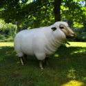 Statua Dell'oro Bianco Della Testa Delle Pecore