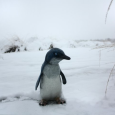 Statua Di Bambino Pinguino