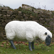 Testa Di Pecora Statua Inferiore