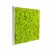 Tableau végétal Kandigreen 60