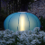 Lampe Oursin