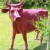 Mucca Statua Rose