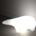 Orso Polare Luminoso