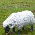 Basso Della Testa Delle Pecore Di Mini Statua 