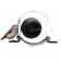 Mangiatoia Per Uccelli Alimentatore Bird Feeder Born in Sweden Jardinchic