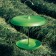 Mangeoire Bird Table Vert Ambiance Jardin Magis JardinChic