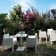 Lot de 2 Fauteuils Empilables TOY Terrasse Driade JardinChic