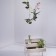 Flying Orchids 16cm Evervit Jardinchic