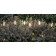 Lampes à Planter Soffione P1 Browntech Inverlight Jardinchic