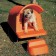 Niche Dog House Orange Magis JardinChic