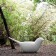 Assise / Ornement Paloma Blanc Pur 1825 Serralunga Jardinchic