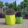 Pot Ceres 70 Jaune et Pot Ceres 50 Vert Pdconcept Jardinchic