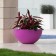 Jardinière Sfera Fuchsia Vondom Jardinchic