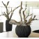 Jardinière River  Plants First Choice JardinChic