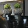 Jardinière River   Ambiance Plants First Choice JardinChic