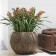 Jardinière River  Plants First Choice JardinChic