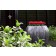 Jardinière River Terrasse Plants First Choice JardinChic