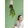 Jardinière Sky Planter Recycled Boskke JardinChic