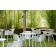 Lot de 4 Chaises Tatami avec accoudoirs Terrasse Pedrali JardinChic